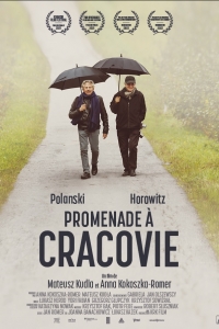 Promenade à Cracovie